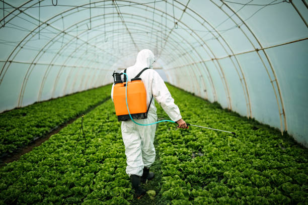 Best Pest Inspection Near Me  in Willowbrook, CA