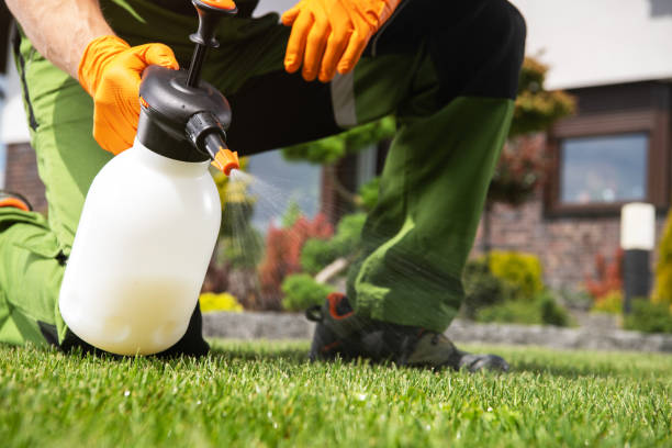 Pest Prevention Services in Willowbrook, CA