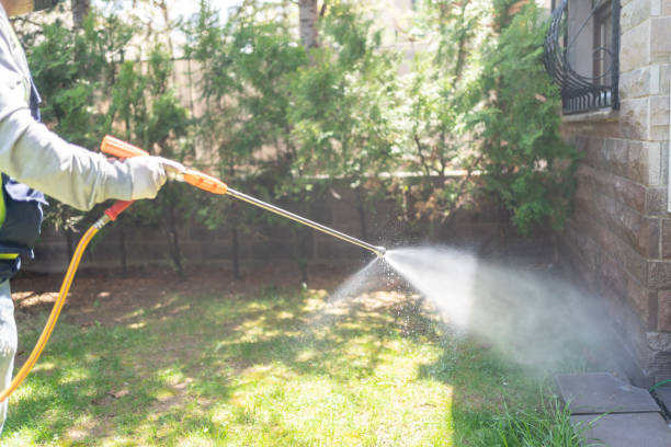 Best Best Pest Control Companies  in Willowbrook, CA